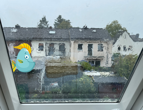 So mal eben aus dem Küchenfenster geschaut…